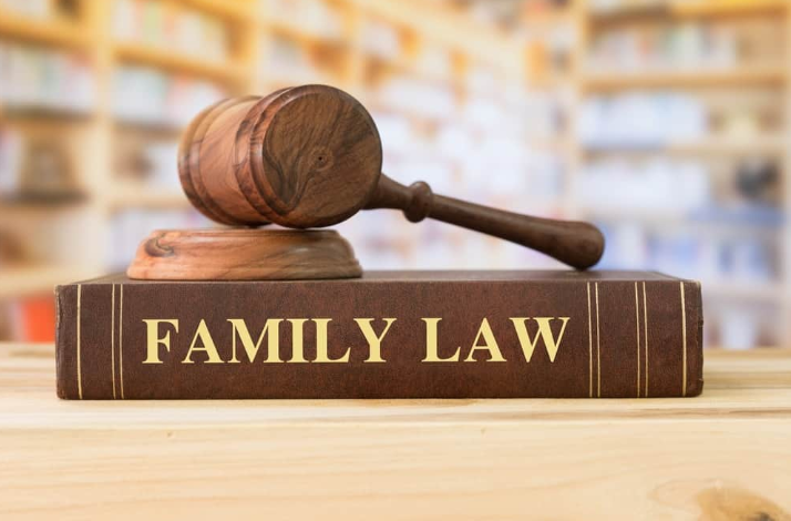 Family Law Lawyer