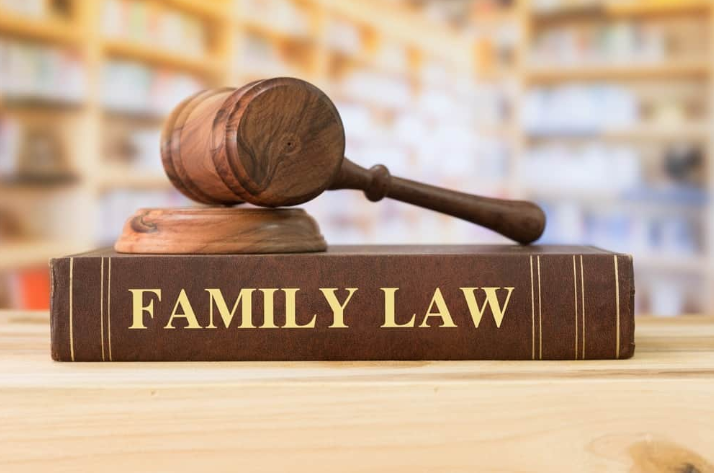 Family Law Lawyer
