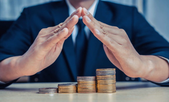 Securities Laws and Investor Protection