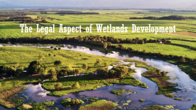 The Legal Aspect of Wetlands Development