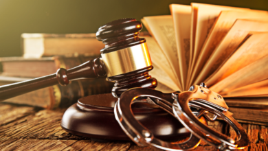 criminal litigation