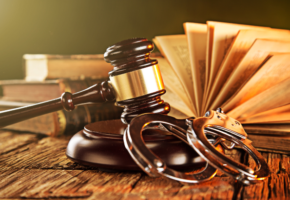 criminal litigation